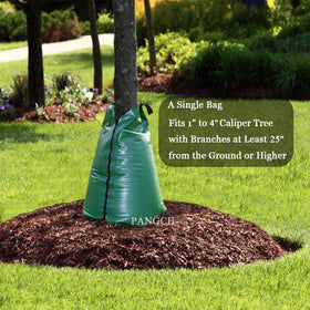 PANGCH installation steps shown for quick setup on trees
