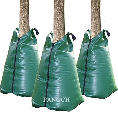 PANGCH Tree Watering Bag wrapped around a tree for deep hydration