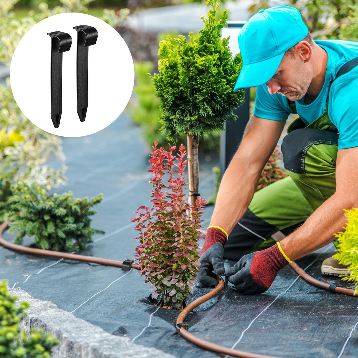 Pangda garden stake pack ideal for lawns and greenhouses