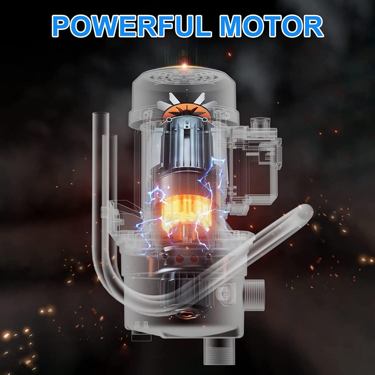 PANRANO 1.6 HP motor and stainless steel head assure durability