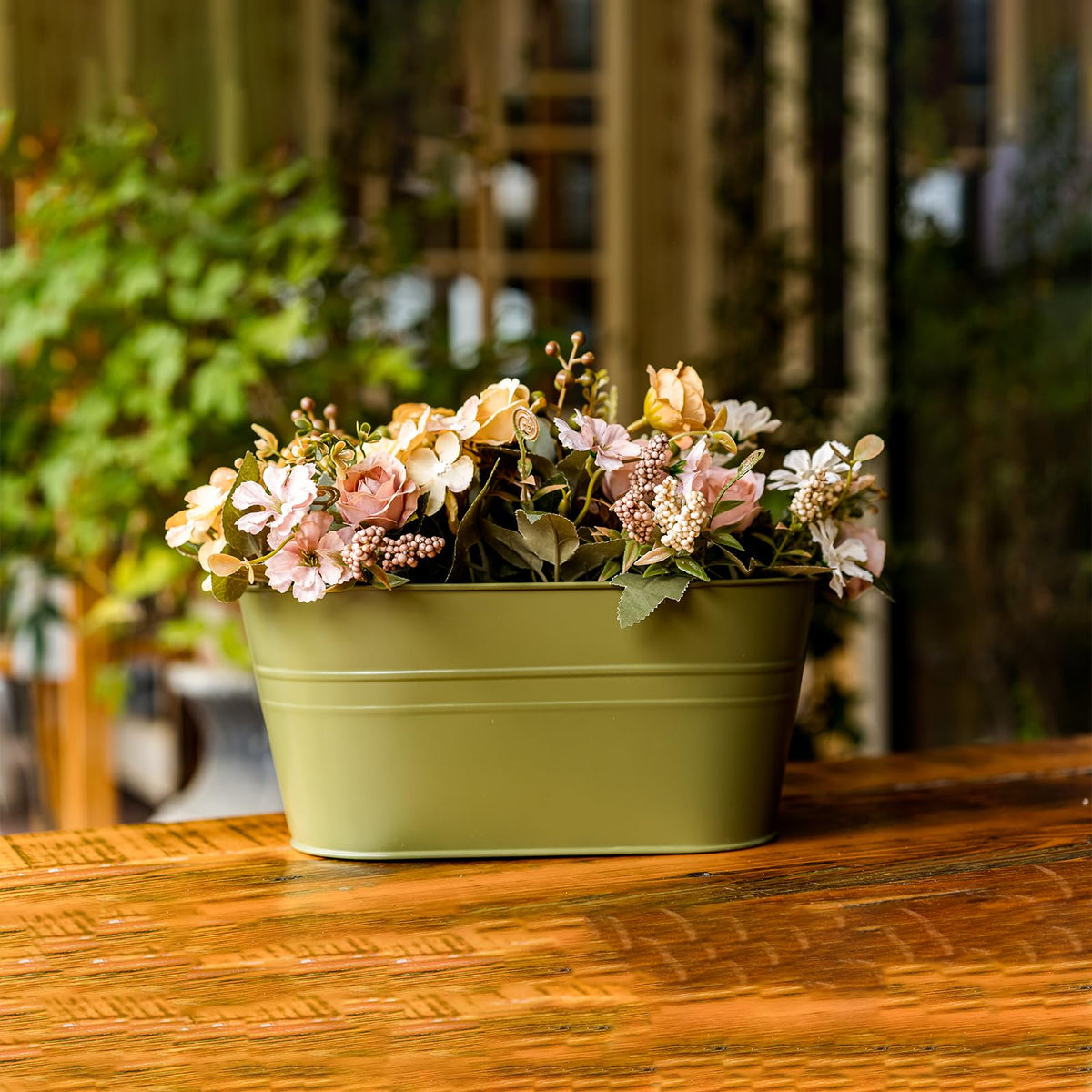 pansparade 3-pack adds color and vitality to garden or balcony