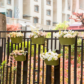 pansparade metal hanging planter demonstrates sturdy support ideal for herbs and flowers outdoors