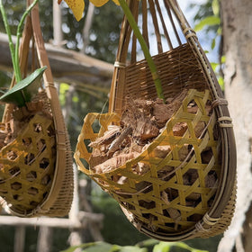 PANWA 3-pack elevates spring seasonal decor for home or gifts.