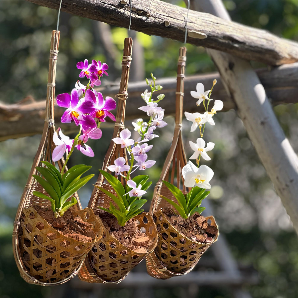 PANWA handmade basket dries quickly after rain when aired in sun.