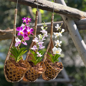 PANWA handmade basket dries quickly after rain when aired in sun.