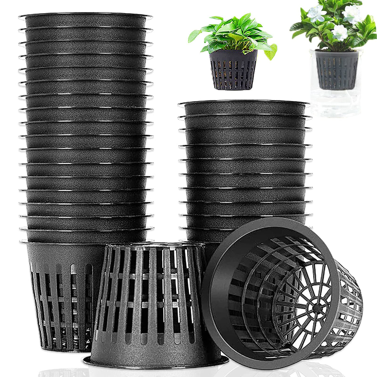 Panxxsen 3-inch net pot with upper diameter clearly shown for stable fit in hydroponic setups.