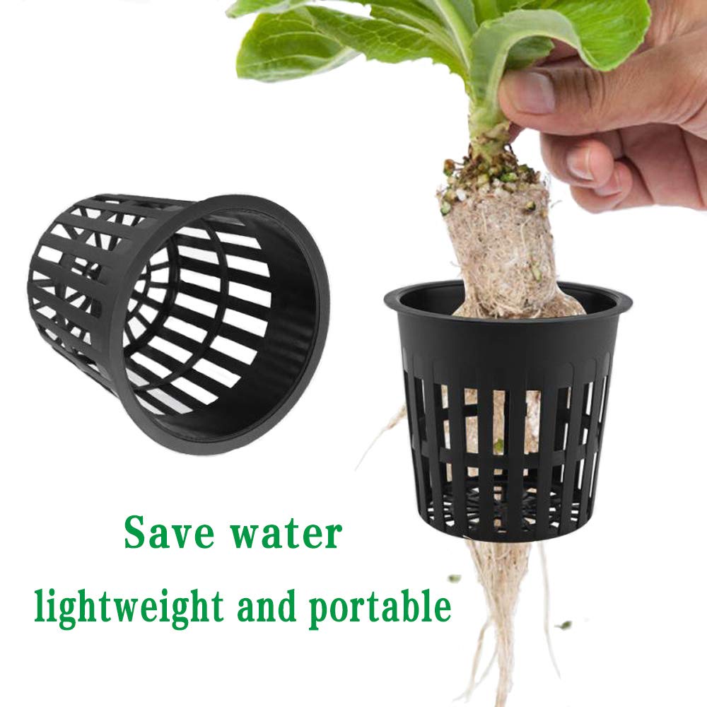 Panxxsen aquaponics plant cup modeled for water-based nursery use.