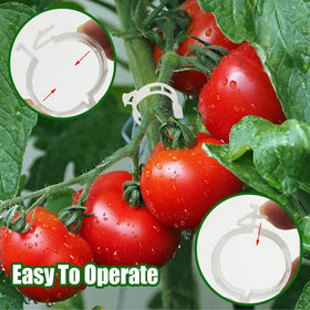 Paradi Star durable nylon and iron hooks ensure long-lasting garden use.