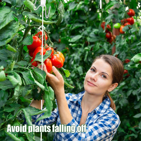 Paradi Star system supports tomatoes, grapes, cucumbers, loofah, and more.