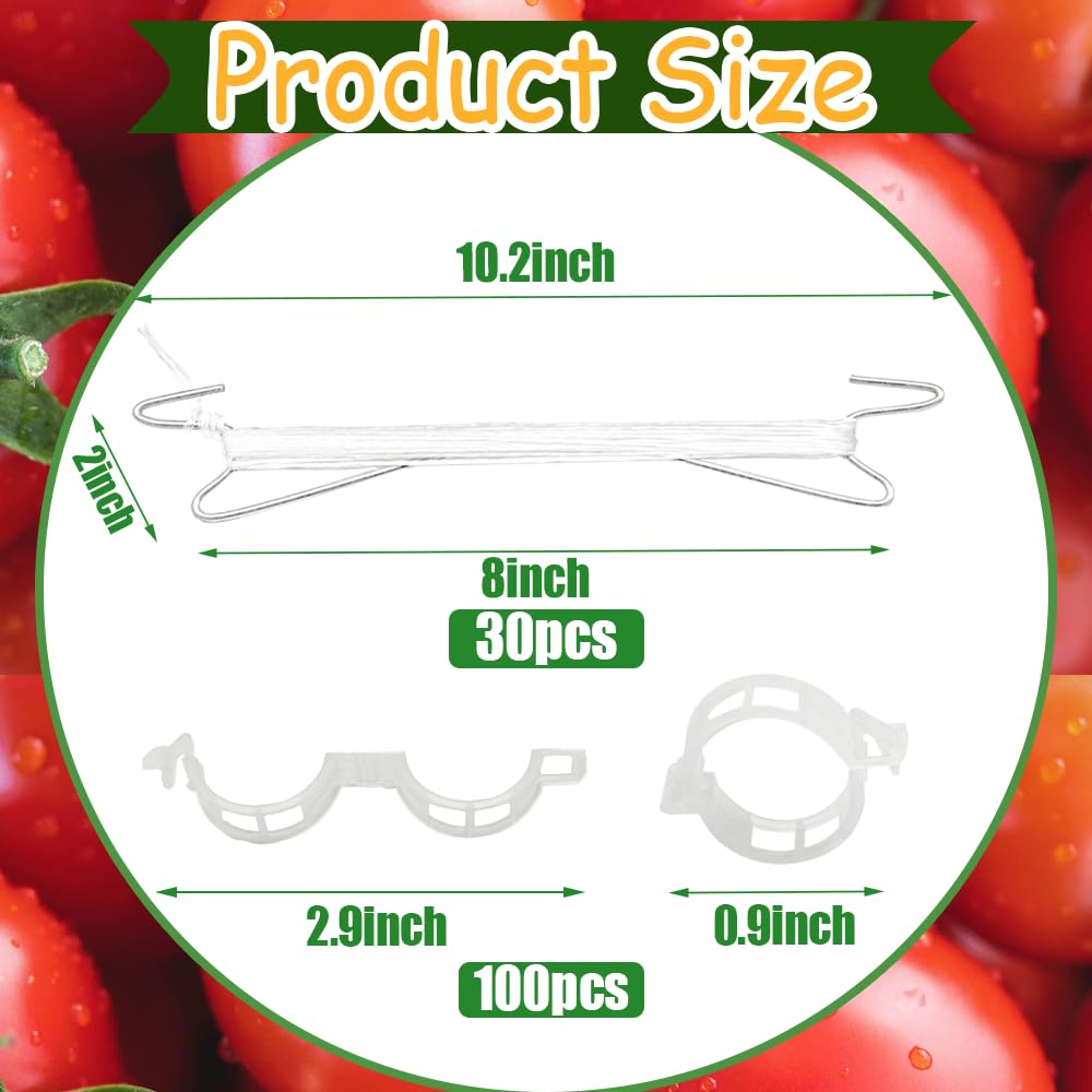 Paradi Star plant support clips secure vines without tools, promoting upright growth.