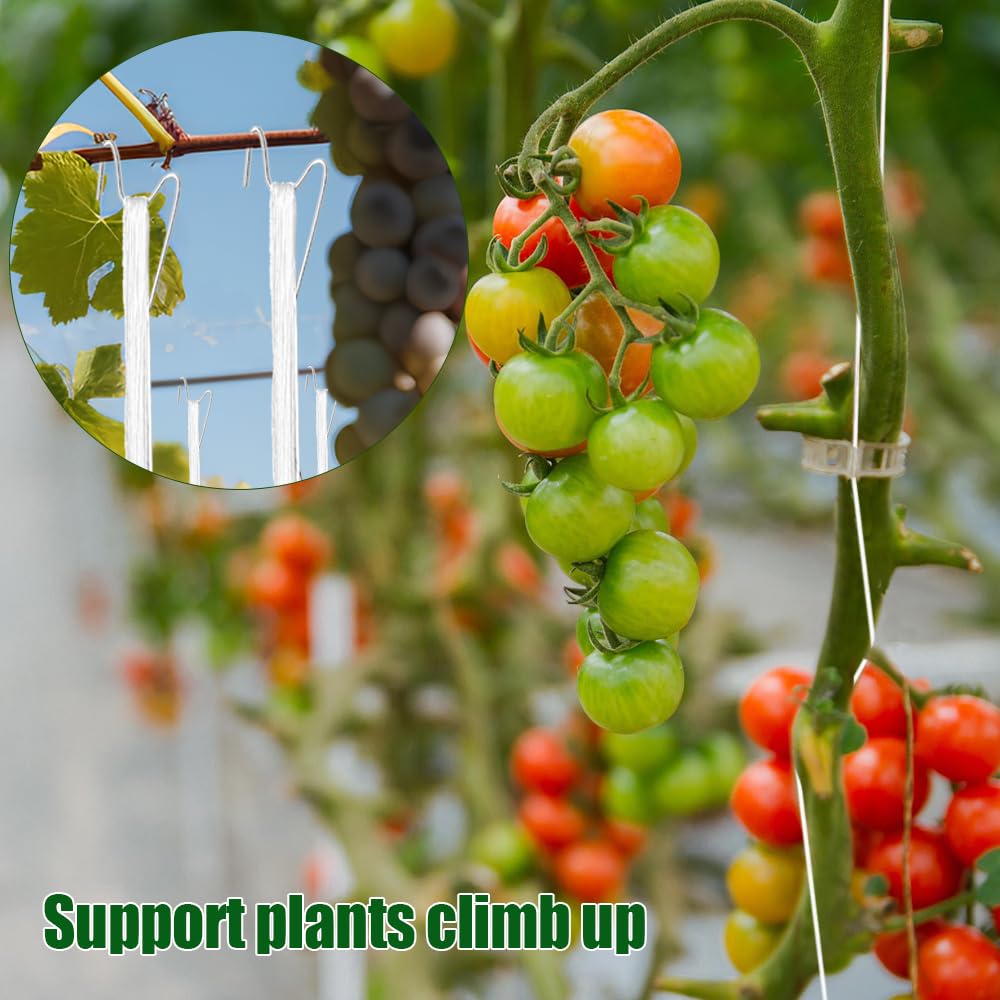 Paradi Star 32-8ft twine enables secure lines across your trellis.