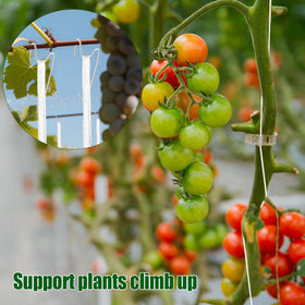 Paradi Star 32-8ft twine enables secure lines across your trellis.