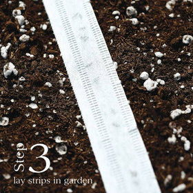 Park Seed sowing-friendly beet tape supports companion planting with beans and lettuce