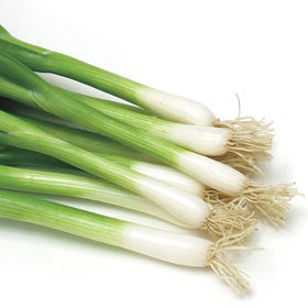 Park Seed Damast onion seed tape packaging for easy sowing and protection