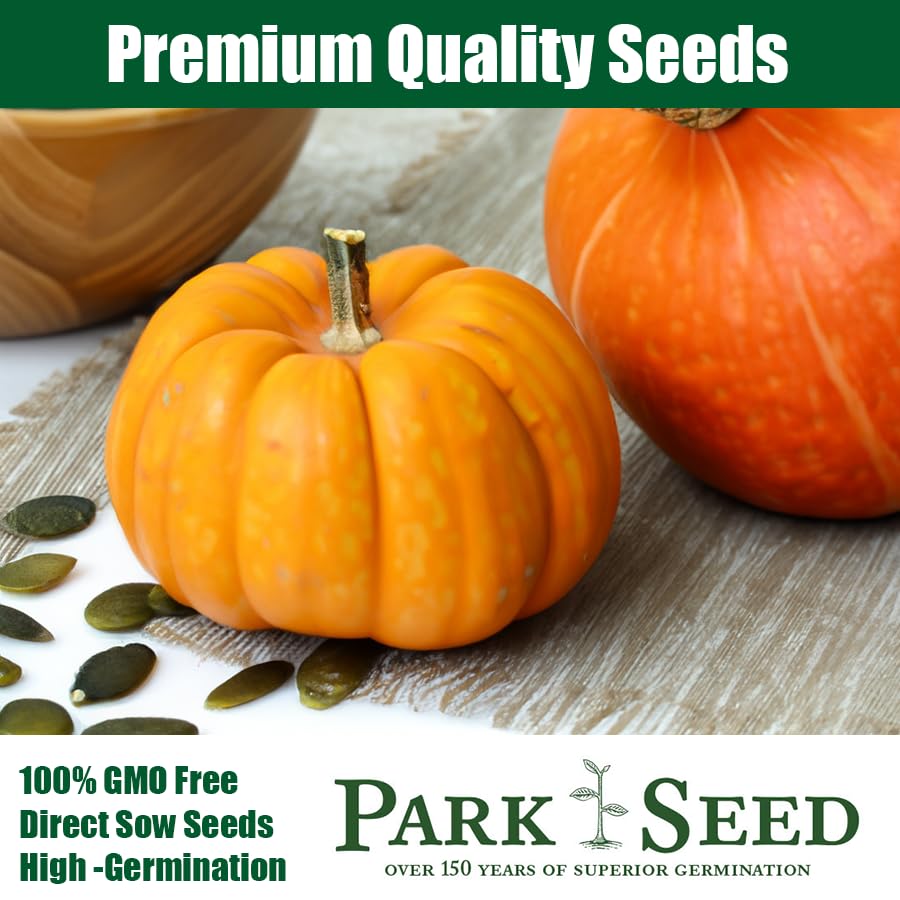 Park Seed giant pumpkin vine growth requires ample space to thrive.