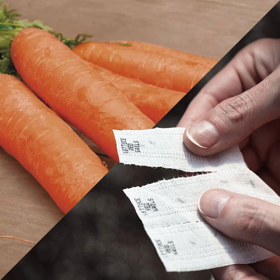 Park Seed Little Finger carrot seed tape 15ft for easy sowing with no thinning.