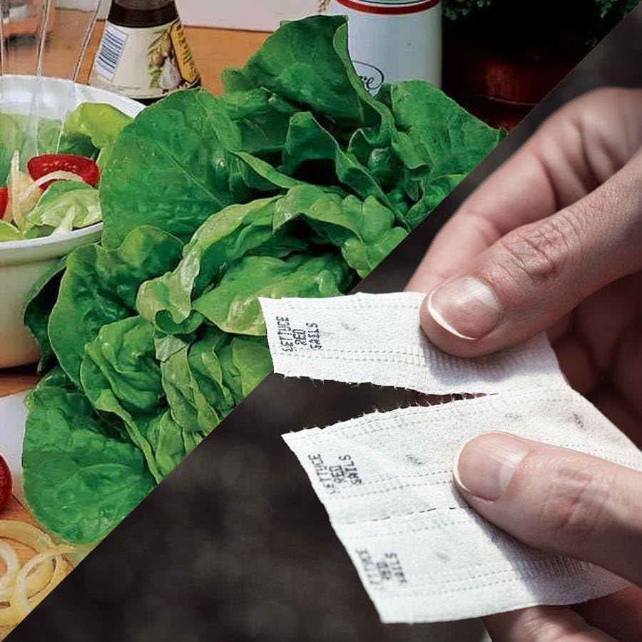 Park Seed Sow Effortless seed tape for quick planting and steady harvest.
