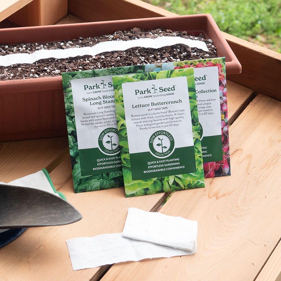 Park Seed Zinnia bed-border planting with seed tape for tidy, even rows and easy maintenance.
