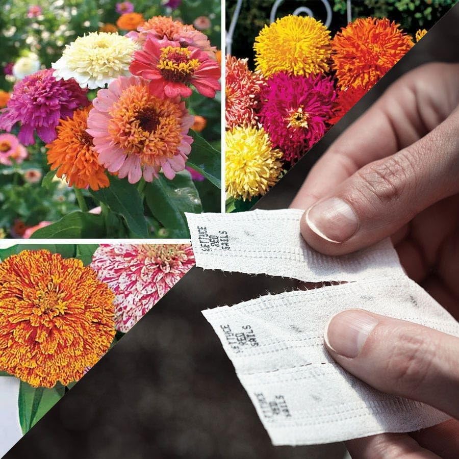 Park Seed Sow Effortless Zinnia Tape 15ft roll for quick, precise planting in beds.