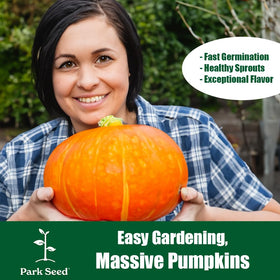 Park Seed's Dill's Atlantic Giant pumpkin ready for record-breaking growth.