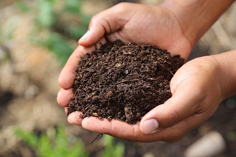 Park Seed Nature’s Aid inoculant granules on soil bed promoting long-term soil health