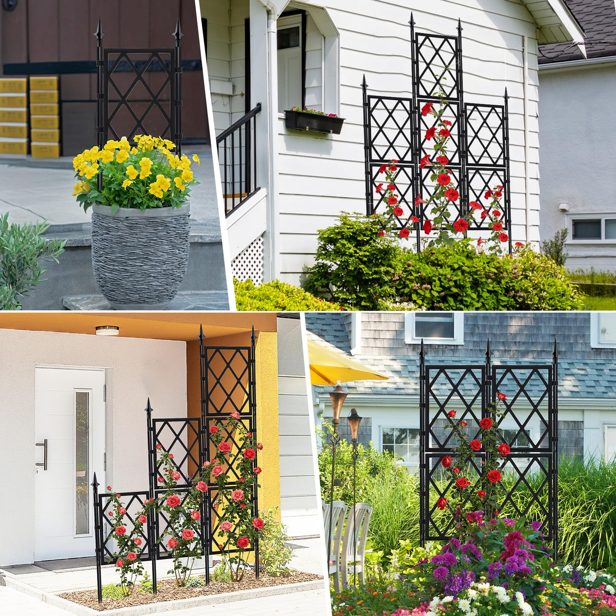 ParseBio indoor ivy is trained along a sleek metal trellis for a vertical display.