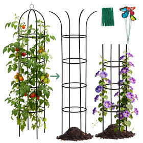 ParseBio 6.6ft black obelisk trellis provides sturdy support for climbing plants.