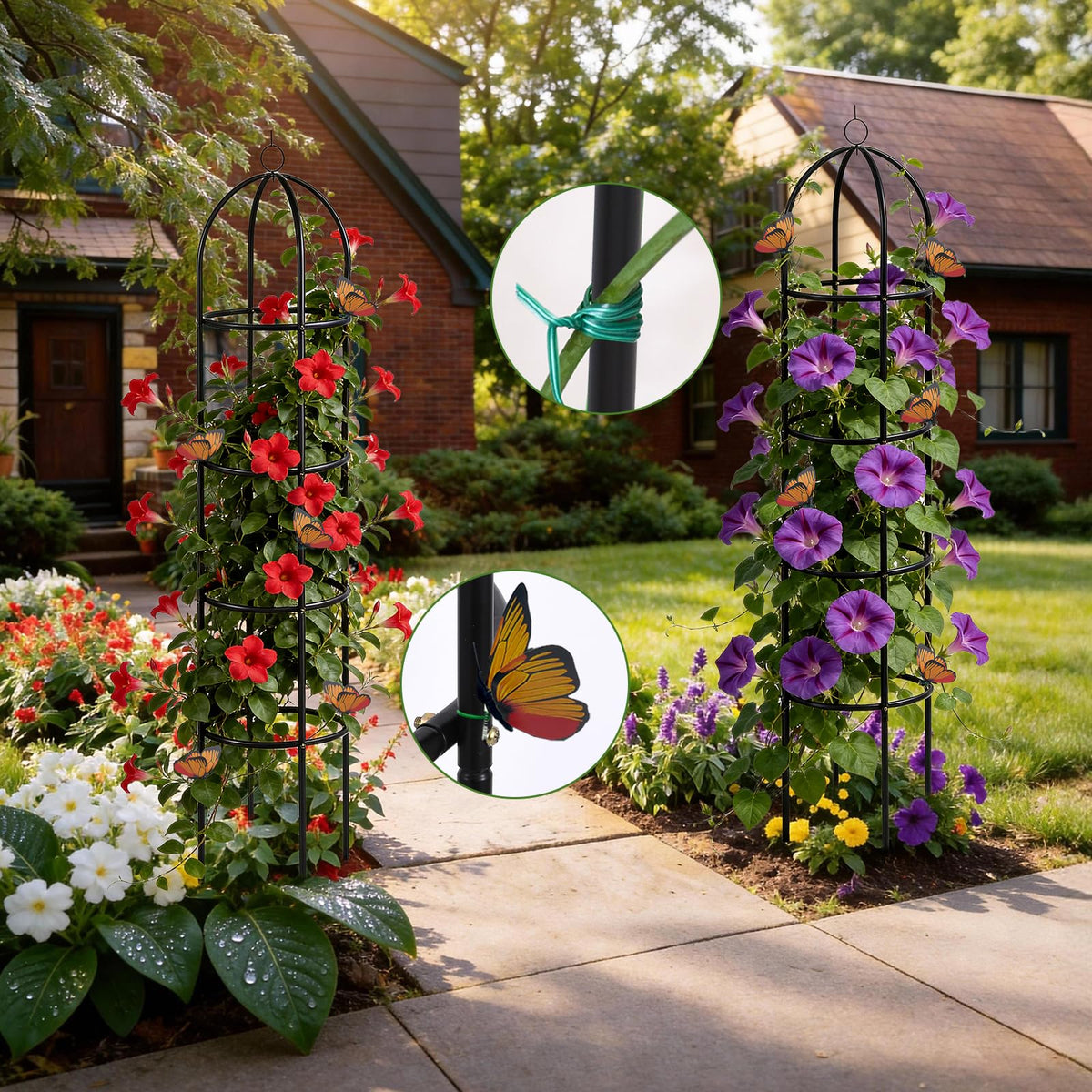 ParseBio ideal for roses, clematis, jasmine and other climbers.