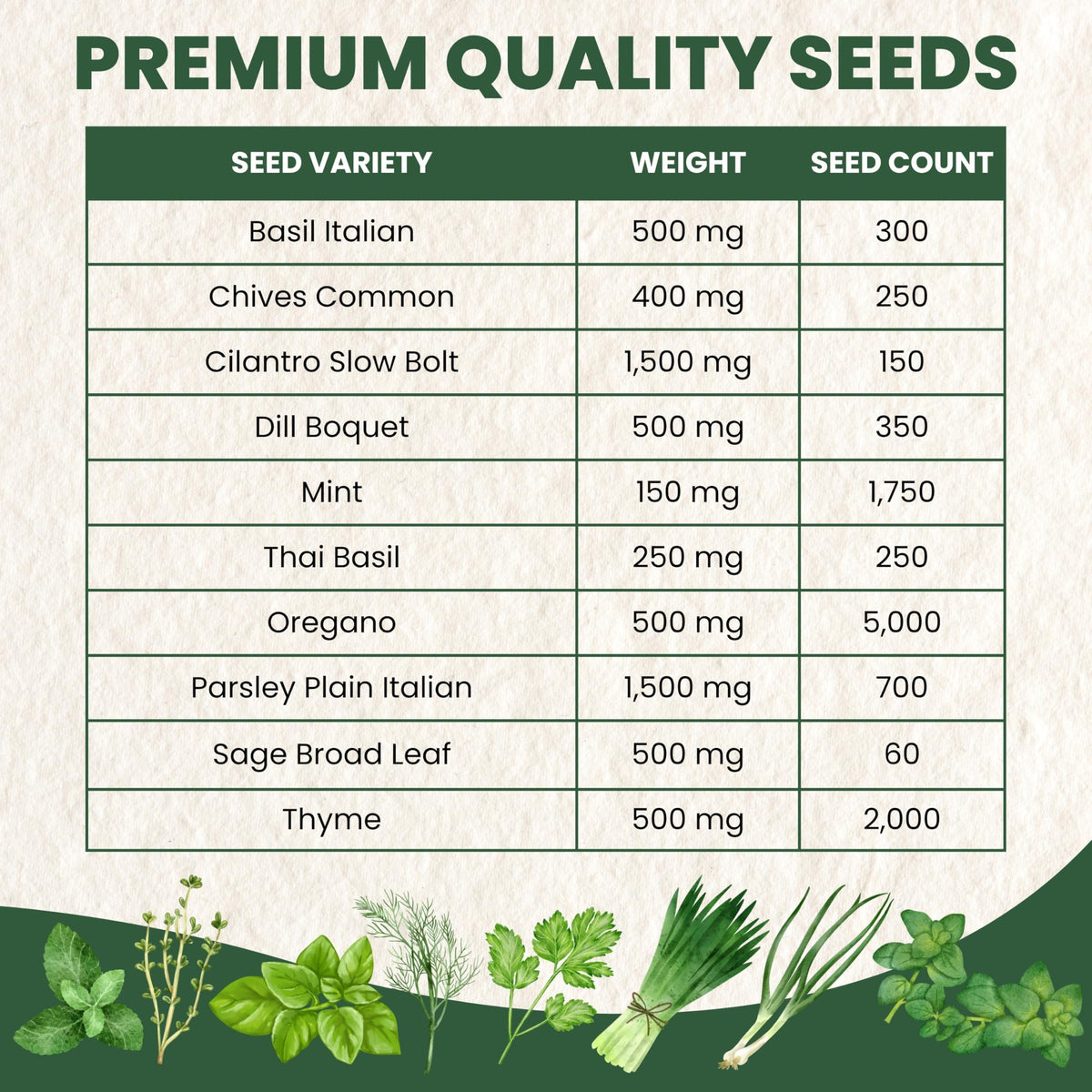 Parsley Italian seed packet by Family Sown for versatile garnish and fresh flavor.