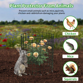 PASARA mesh panel cage assembled into a cylinder for seedlings and beds