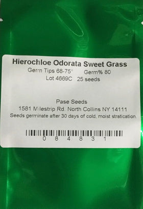 Hierochloe Odorta Sweet Grass panicles for ornamental fragrance in gardens.