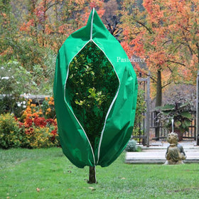 Pasidener covers deter deer nibbling and preserve foliage.
