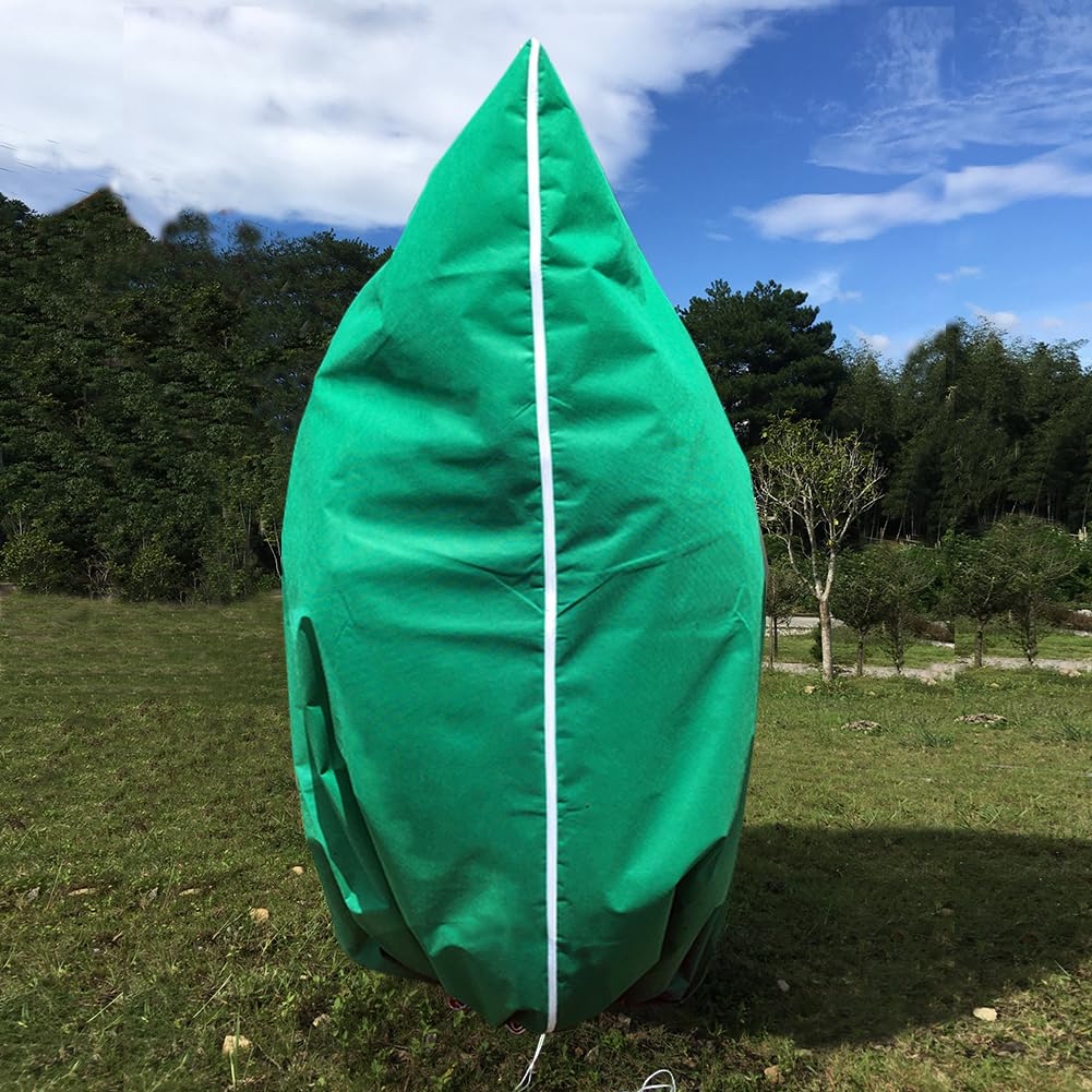 Pasidener wide-coverage tree/shrub cover allows light through for photosynthesis.