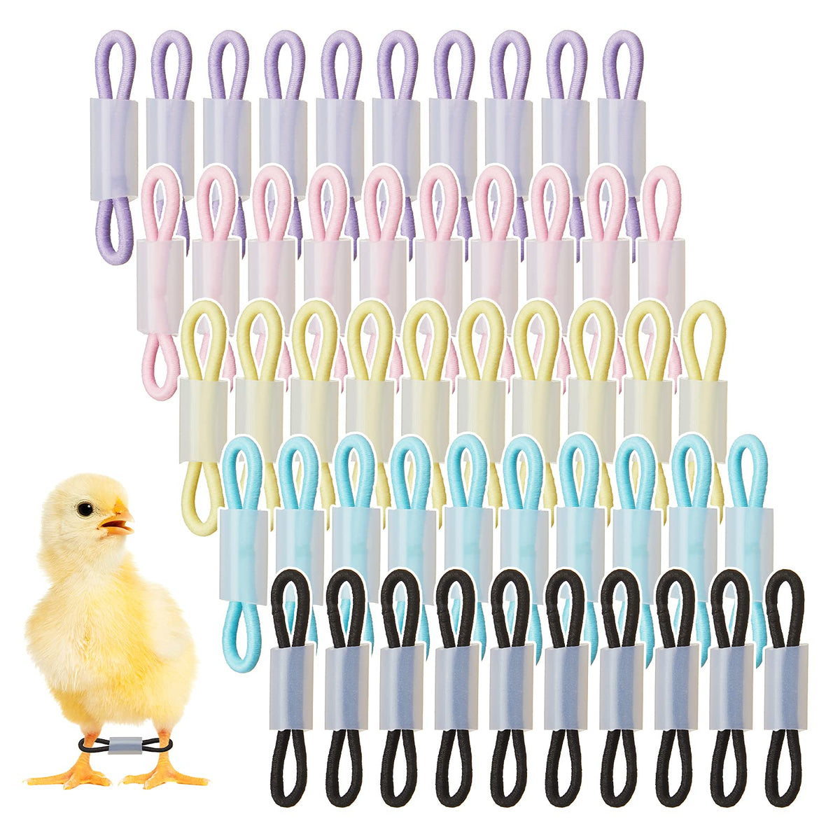 Patelai baby chick leg bands setup shows adjustable braces for newborns
