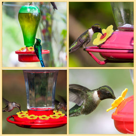 Patelai fits 7 mm holes, ensuring compatibility with many feeders.