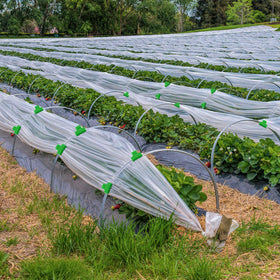 Patelai multiuse netting clip is ideal for film, netting, and light-duty organization.
