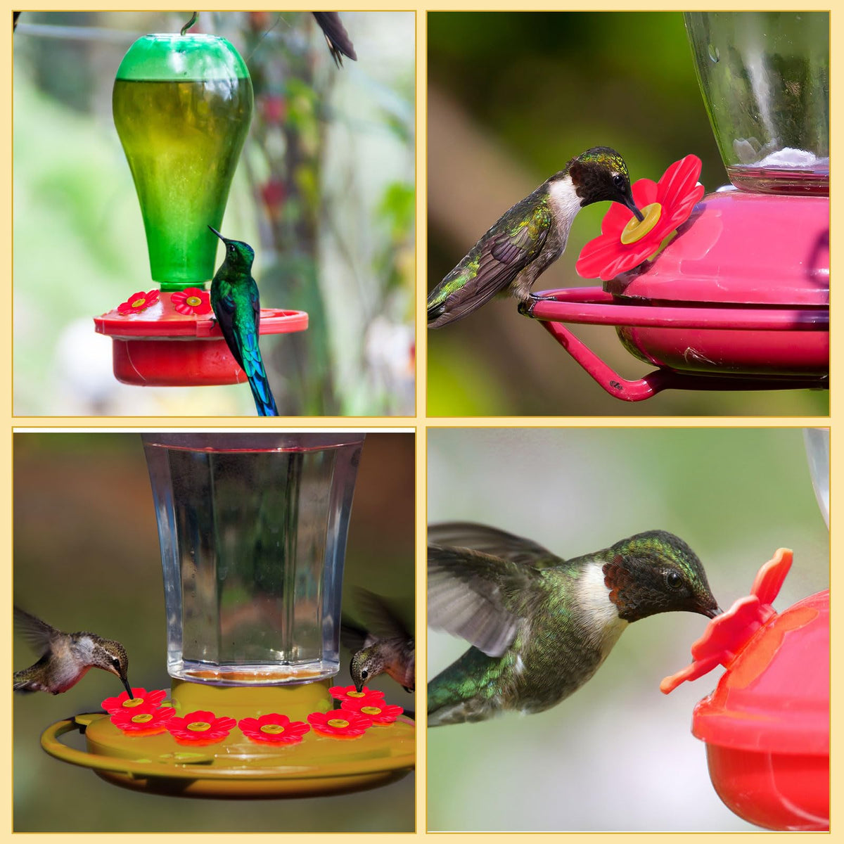 Patelai non-slip design helps birds perch safely