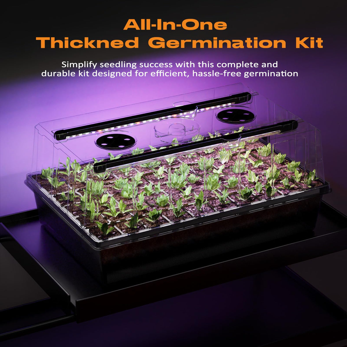 Patigrow indoor seedling kit enables year-round germination at home