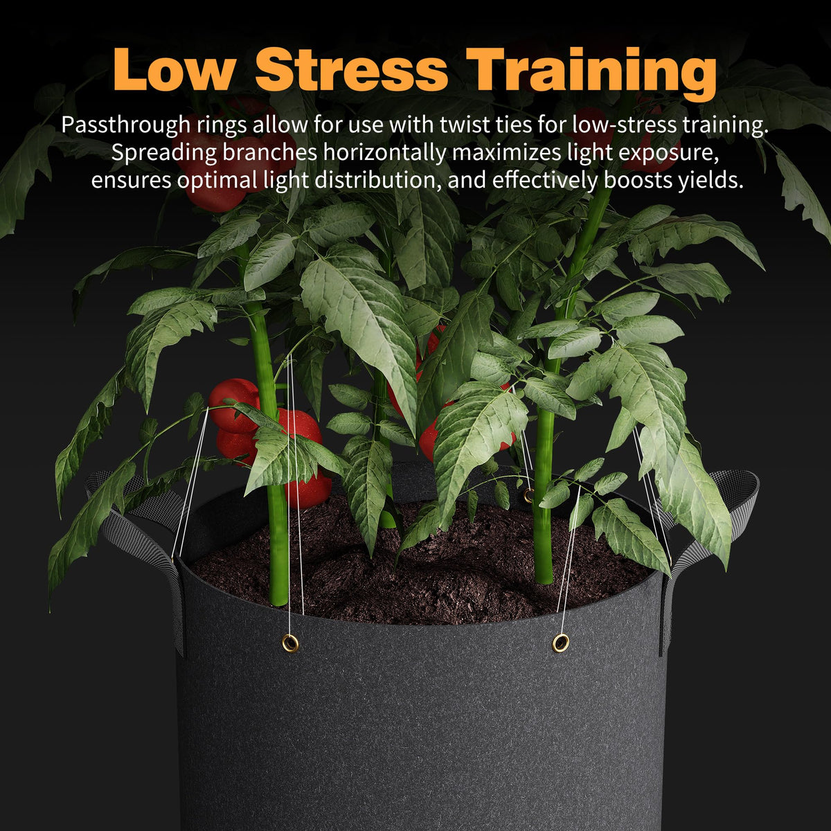 Patigrow permeable fabric promotes drainage and root health by preventing waterlogging