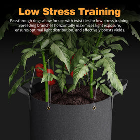Patigrow permeable fabric promotes drainage and root health by preventing waterlogging