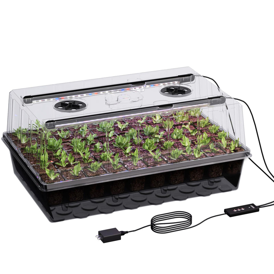 Patigrow seed starter tray with 60-cell dome for efficient germination