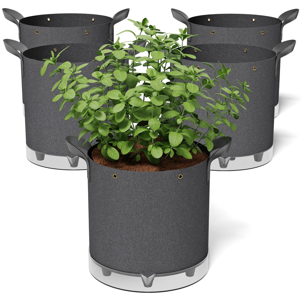 Patigrow self-watering bag with reservoir keeps soil consistently moist for healthy growth