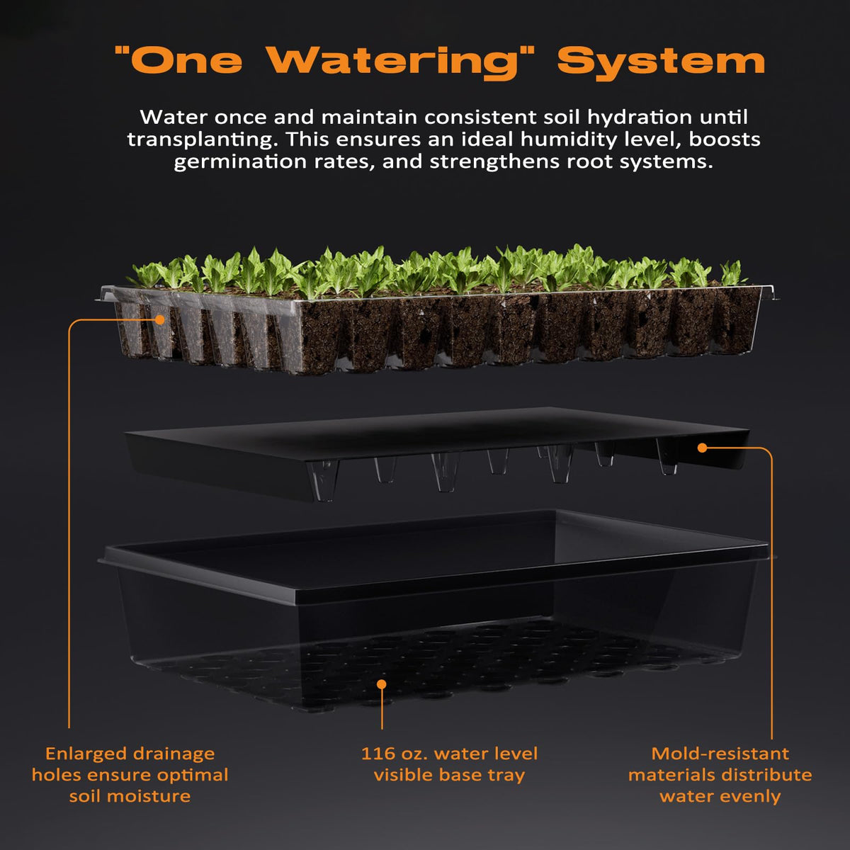 Patigrow self-watering dome and base maintain steady moisture from germination to transplant