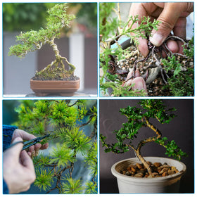 PATIKIL versatile aluminum wire for crafts, furniture accents, and DIY decor.