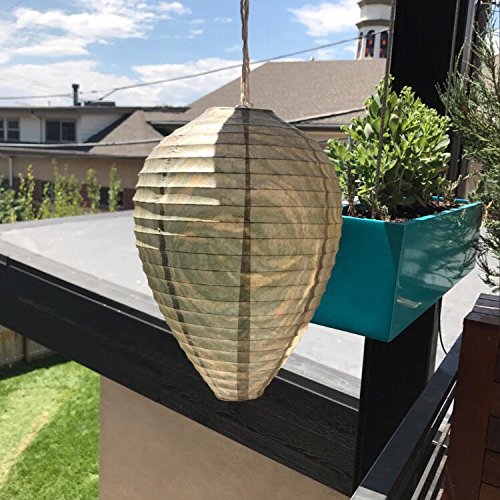 Patio Eden realistic decoy design reinforces territorial avoidance around gardens.