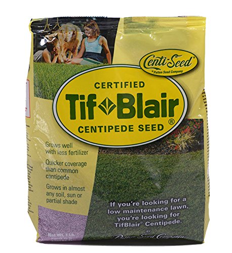 Patten Seed TifBlair centipede seed bag for easy lawn patching.