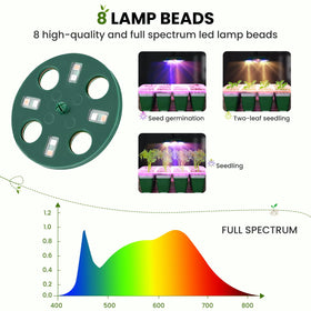 Pattiumo grow lights provide full-spectrum illumination for healthy early growth