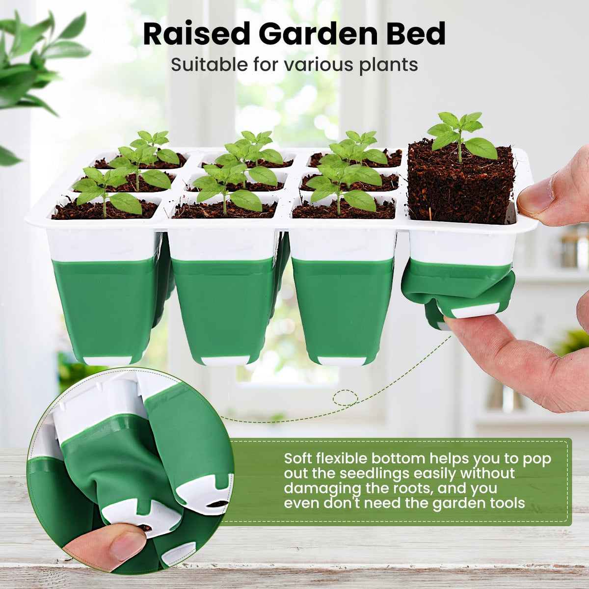 Pattiumo humidity dome showing adjustable airflow for optimized seedling humidity