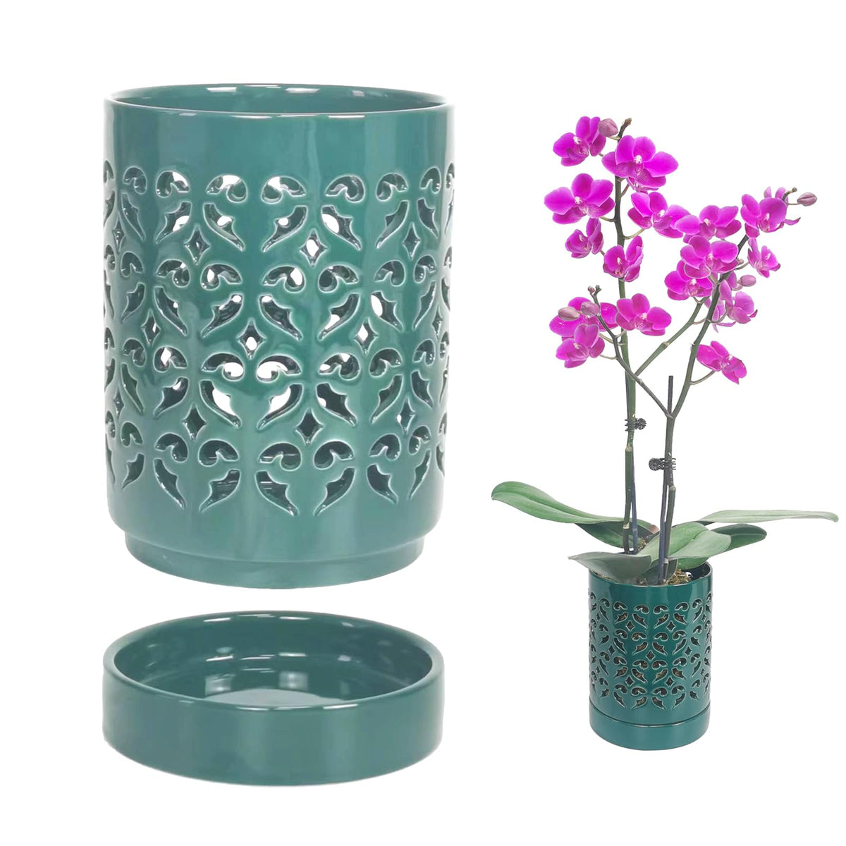 Pavtner ceramic orchid pot with holes for improved air circulation.