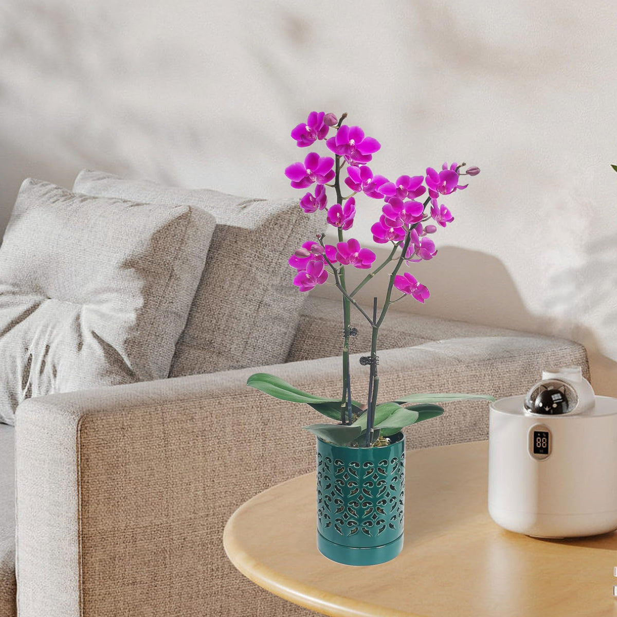 Pavtner hand glazed orchid pot ideal for indoor display.